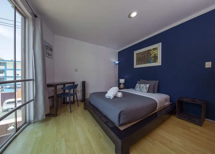 Casa Hidalgo En El Corazón De Coyoacán